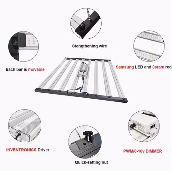 Luci progressive LED a energia solare da 500 W basate su chip Samsung UV e IR