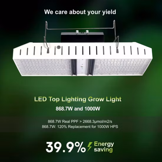 Illuminazione da coltivazione a LED dimmerabile ad alta potenza da 800 W 1000 W per piante da orticoltura da interni