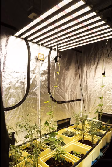 2019 Nuovo design 400W/600W/800W/1000W LED pianta coltiva lampada illuminazione orticola